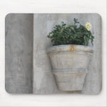 rose in the city mouse pad