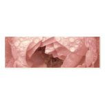 Rose in the Desert, Profile Card business cards