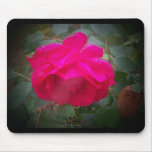 Rose in the rain mouse pads