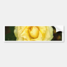 rose  in yellow bumper sticker