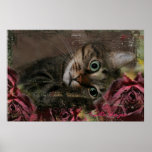 Rose Kitty posters