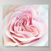 Rose Love Posters