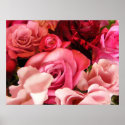 Rose Love posters