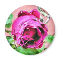 Rose Magnet