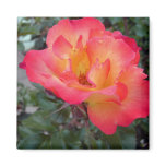 Rose magnet