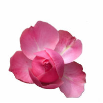 rose magnet or keychain photo sculptures