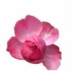 rose magnet or keychain photo sculptures