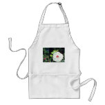 Rose Mallow (Hibiscus Moscheutos) flowers aprons