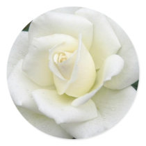 Rose Meanings Sticker