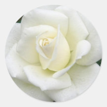 Rose Meanings Sticker