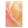 Rose Monogram Stationary