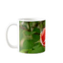 rose mugs