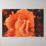 Rose of Halloween posters