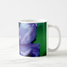 Rose of Sharon_1b Mugs