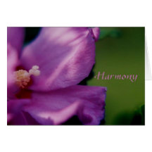 Rose of Sharon_1g Cards