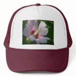 Rose of Sharon Hat