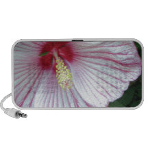 Rose of Sharon - Hibiscus iPhone Speakers
