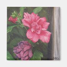 Rose of Sharon Magnet