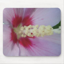 Rose of Sharon Mouse Pads