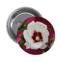 Rose of Sharon Pins