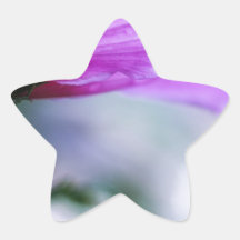 Rose of Sharon Sticker