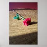 Rose on table posters