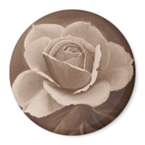 Rose Painting