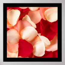 Rose Petal Poster with Black border