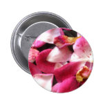 Rose petals pinback buttons
