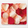 rose petals pink and red