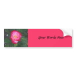 Rose photo bumper stickers