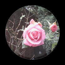 Rose Photo Magnet