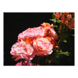 Rose Photography prints Pink Roses Bouquet photography