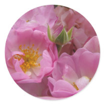 ROSE PINK ROSES 1 STICKERS STICKER SHEETS Gifts