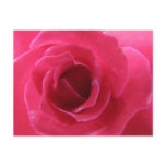 rose postcards