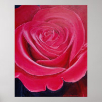 Rose Poster