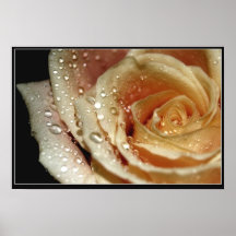 Rose Print