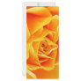 Rose Rack Cards