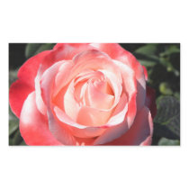 Rose Shades Rectangular Sticker