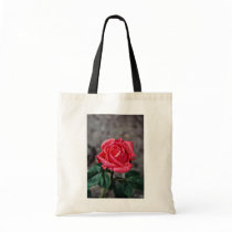 Rose, Shropshire Garden, after rain  flowers Bag