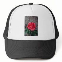 Rose, Shropshire Garden, after rain  flowers Trucker Hat