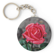 Rose, Shropshire Garden, after rain  flowers Key Chains