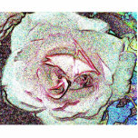 Rose sketch photo sculptures