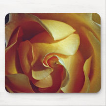 Rose, soft focus, close-up  flowers mousepads