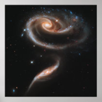 Rose Spiral Galaxies posters