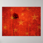 Rose Stars Poster