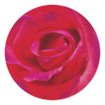 Rose Stickers