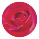 Rose Stickers