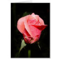 Rose tear drop card