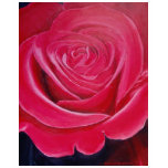 Rose t-shirts